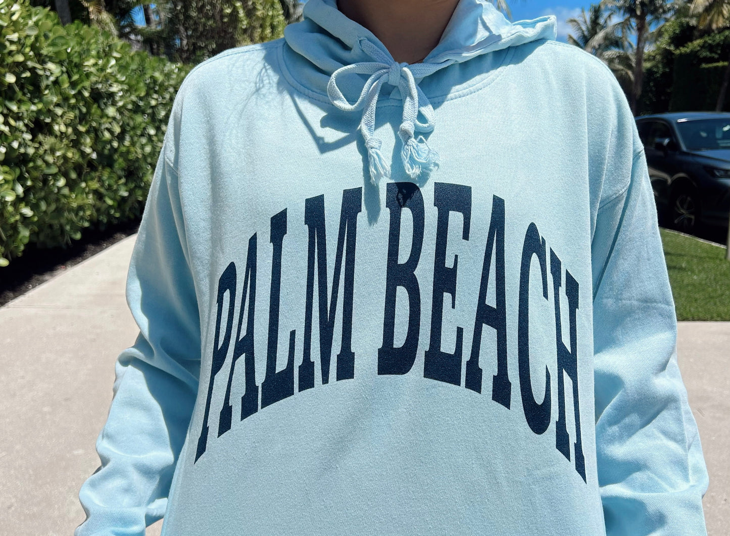 The Classic Palm Beach Adult Hoodie